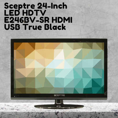 Sceptre 24-Inch LED HDTV E246BV-SR HDMI USB True Black