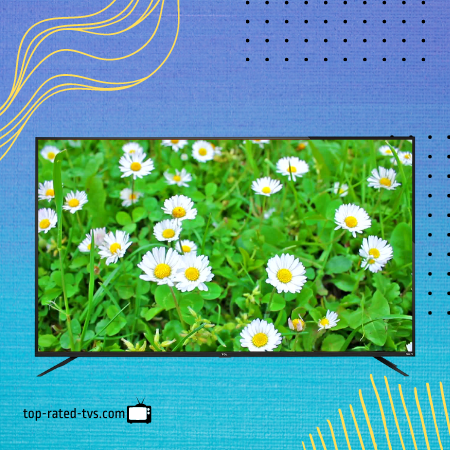 TCL 75S425 75 Inch 4K UHD HDR Smart Roku TV
