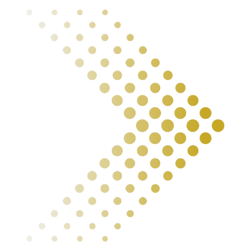 gawvi hero arrow